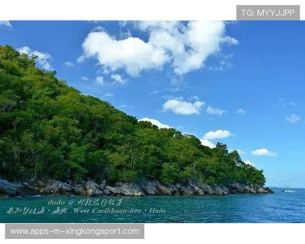 海地推广大众运动意识提升项目，海地推广大众运动意识提升项目有哪些