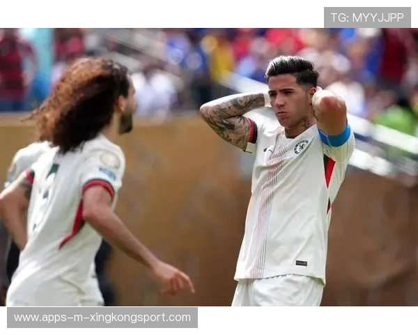 弗拉门戈反击选择合理