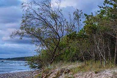 AC米兰豪取胜利，射手梅开二度助球队登顶，ac米兰 梅内