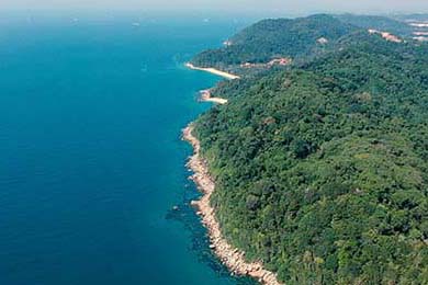 2025年中国篮球职业联赛赛程全揭秘，2020中国篮球联赛比赛时间表